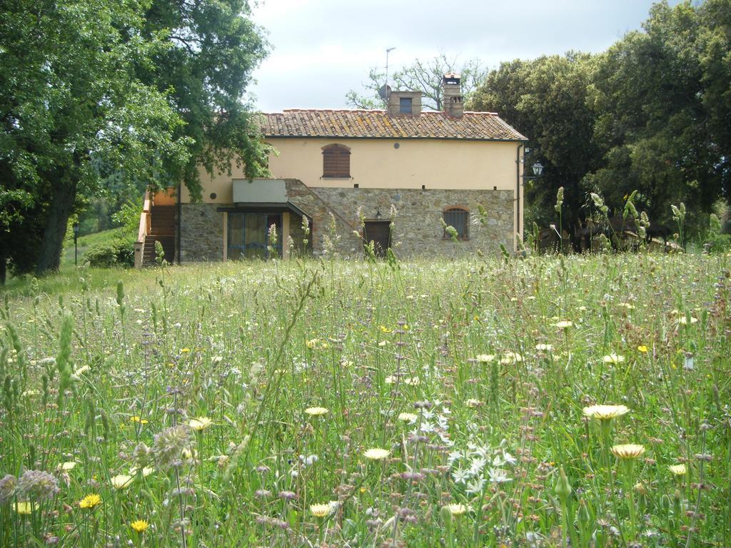 Agriturismo Colle Donatucci Guest House Castagneto Carducci Exterior photo